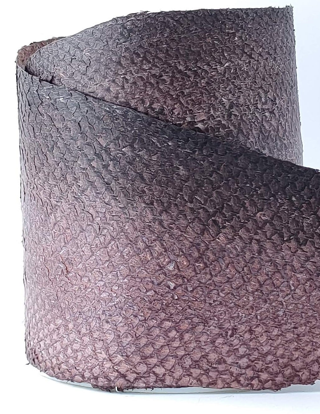 Saumon Galles de Chêne I – Image 3