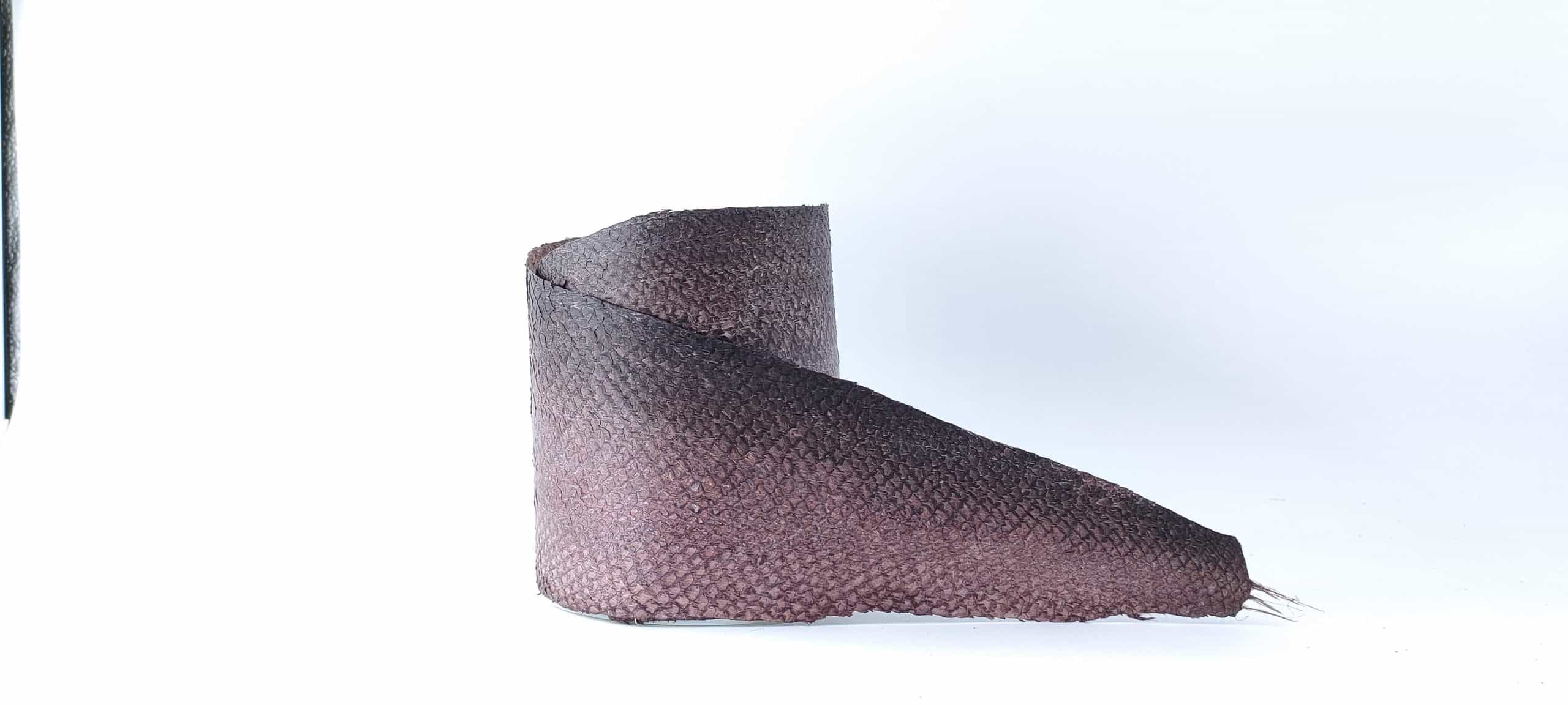 Saumon Galles de Chêne I – Image 2