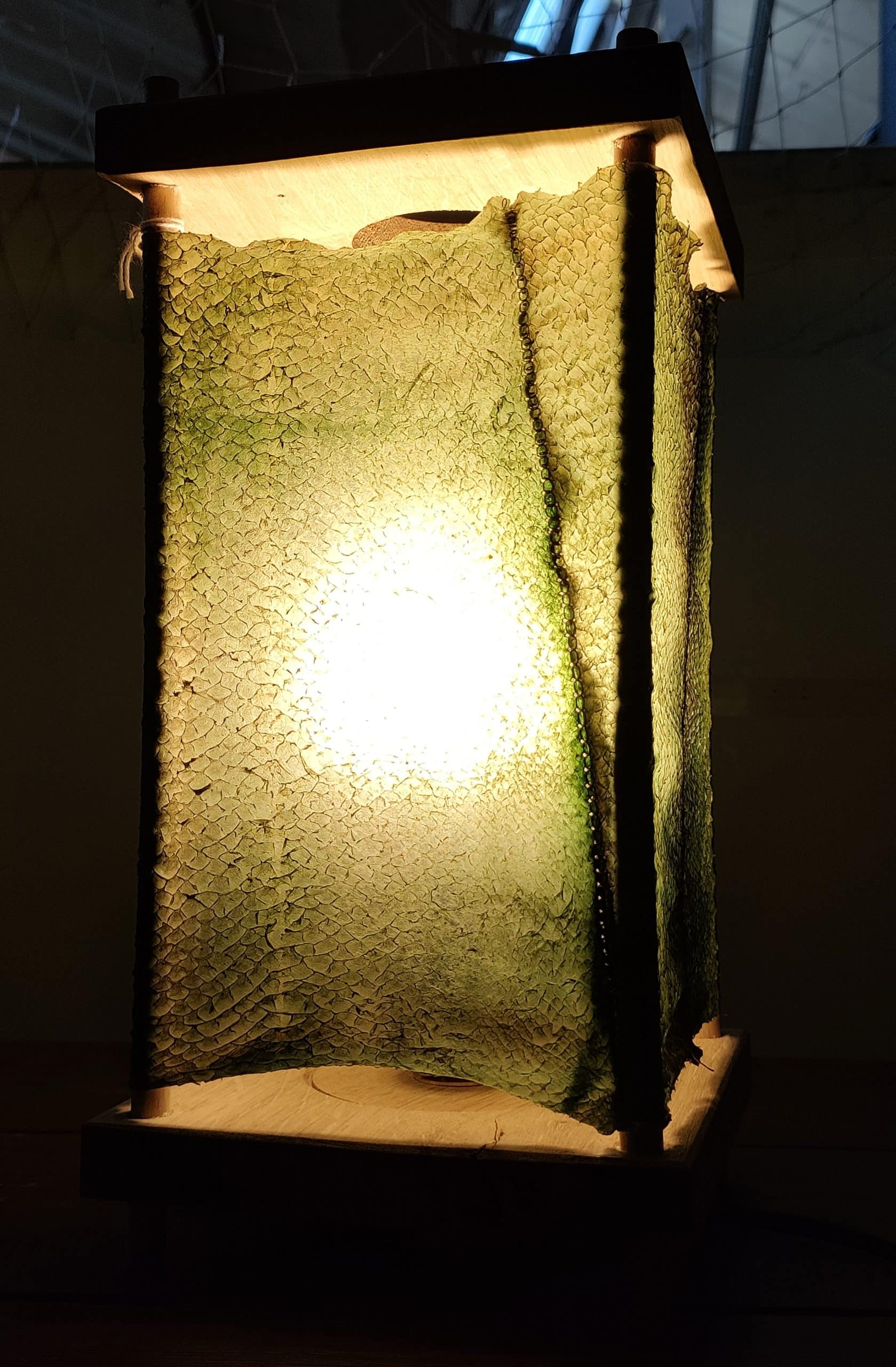 Lanterne sur secteur en parchemin de poisson – Image 2