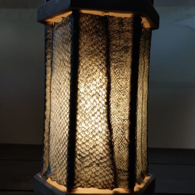 lanterne nomade parchemin de poisson